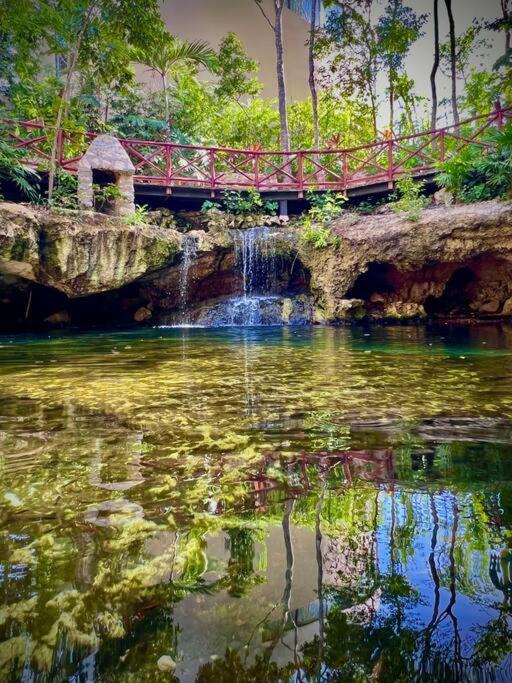 Luxurious Jungle And Private Cenote Apartment *
