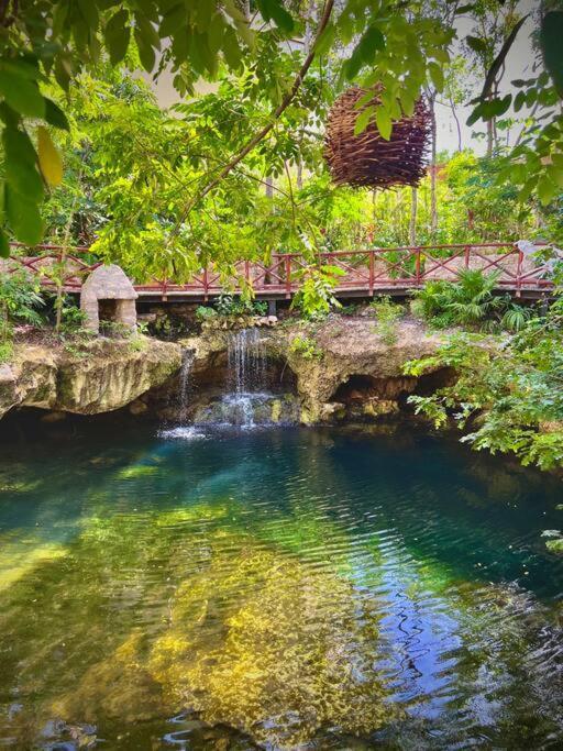 Luxurious Jungle And Private Cenote * Tulum